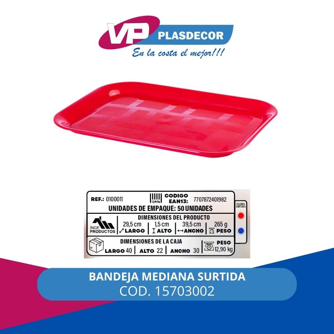 BANDEJA MEDIANA SURTIDA INGEPRODUCTOS - Referencia 15703002 en PLASDECOR Montería