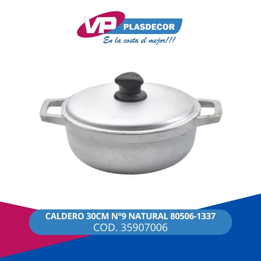 CALDERO 30CM N 9 NATURAL 80506-1337 IMUS